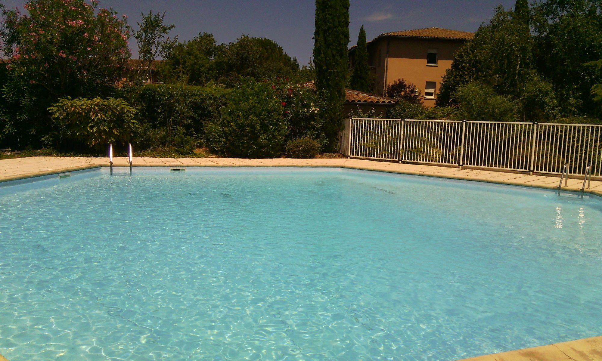 Cambo